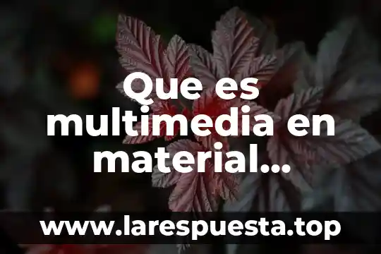 Que es el desarrollo de software multimedia 4 Que es multimedia en material didactico