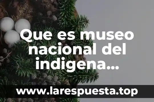 Que es museo nacional del indigena americano