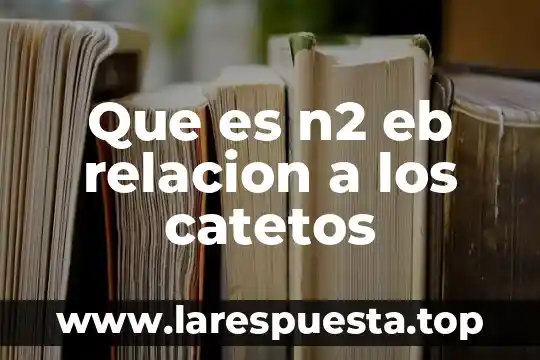 Que es una relacion indirecta 4 Que es n2 eb relacion a los catetos