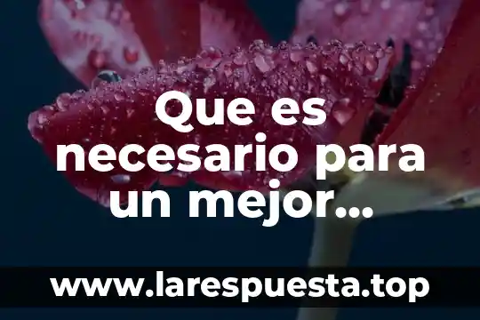Que es ejercicio de comercio 5 Que es necesario para un mejor ejercicio profesional