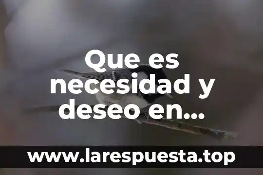 Que es necesidad y deseo en marketing