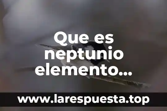 Que es neptunio elemento quimico
