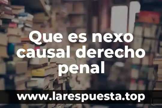 Para que es el derecho internacional 5 Que es nexo causal derecho penal