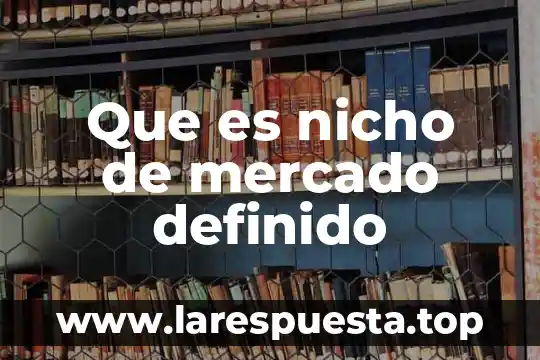 Que es nicho de mercado definido