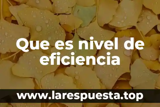 Que es nivel de eficiencia