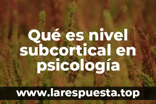 Qué es nivel subcortical en psicología