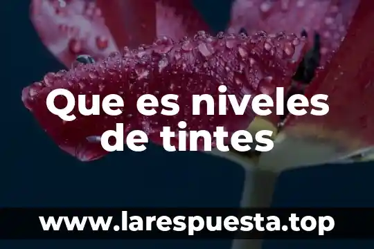 Que es una niveles 3 Que es niveles de tintes