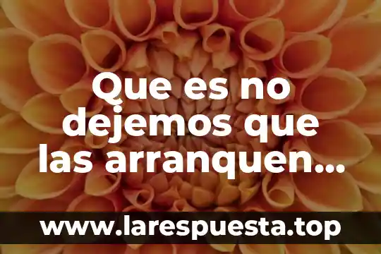 Por que es importante la filosofia en nuestra vida diaria 4 Que es no dejemos que las arranquen de nuestra vida