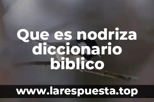 Que es nodriza diccionario biblico