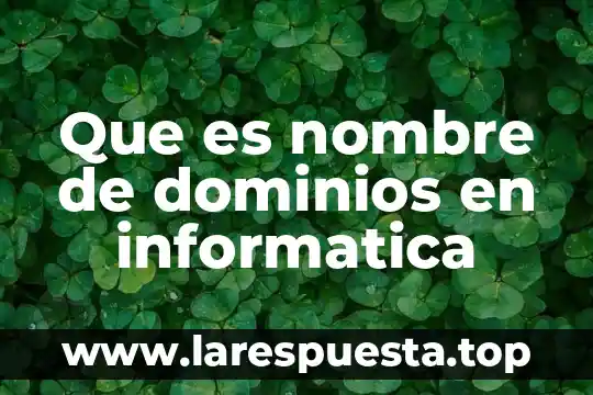 Que es nombre de dominios en informatica
