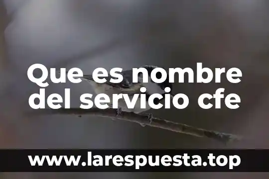 Que es nombre del servicio cfe