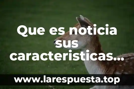 Que es la palabra noticia 4 Que es noticia sus caracteristicas y su estructura