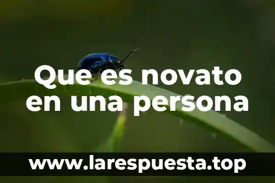 Que es novato en una persona