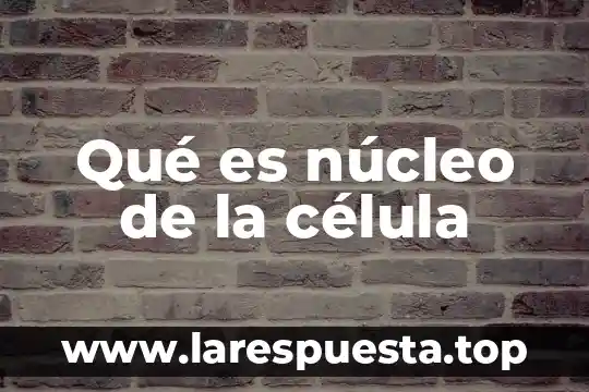 Qué es núcleo de la célula