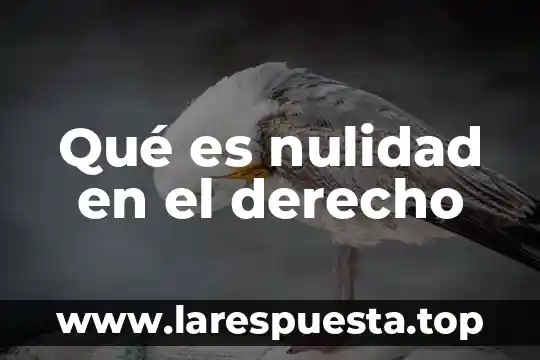 Qué es nulidad definición jurídica 5 Qué es nulidad en el derecho