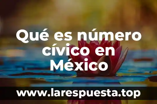 Qué es número cívico en México
