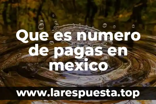 Que es numero de pagas en mexico