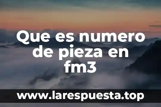 Que es numero de pieza en fm3
