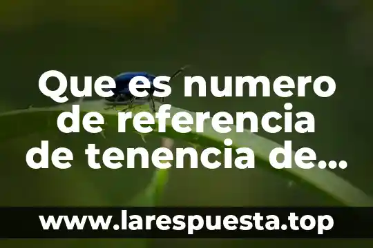 Qué es canónico en derecho 6 Que es numero de referencia de tenencia de camioneta puebla