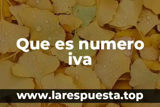 Qué es un número racional positivo 7 Que es numero iva