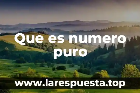 Qué es un número racional positivo 3 Que es numero puro