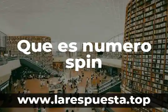 Que es numero spin