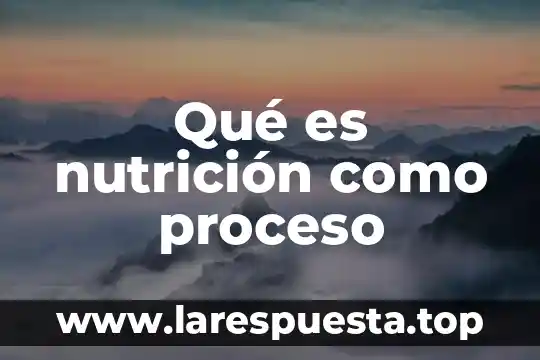 Que es la nutricion autotrofa tipos 4 Qué es nutrición como proceso