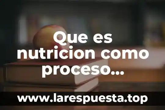 Que es numero de tarjeta bancarian iban 6 Que es nutricion como proceso fisiologico