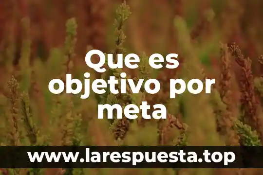 Que es throughput en el libro la meta 7 Que es objetivo por meta