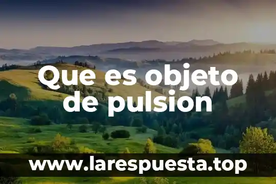 Qué es la capacidad de reflexion en un objeto 5 Que es objeto de pulsion