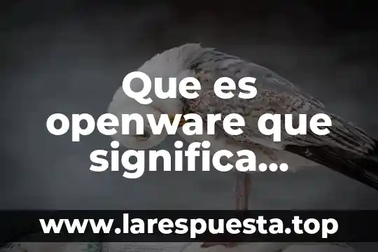 Que es openware que significa ejemplos