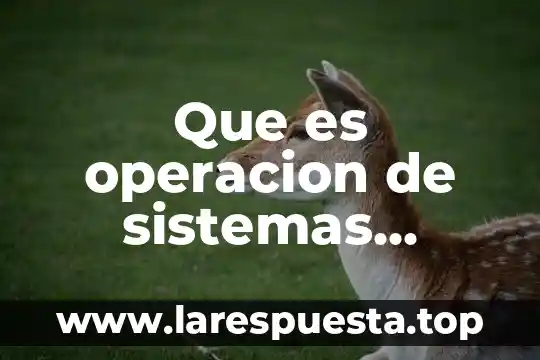 Que es operacion de sistemas tecnicos