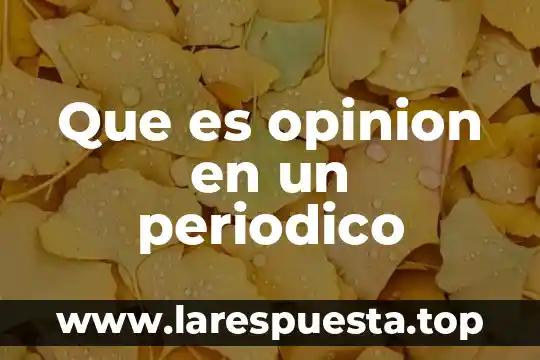 Que es un marco metodologico slideshare 6 Que es opinion en un periodico