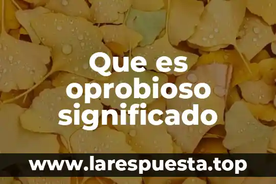 Que es oprobioso significado