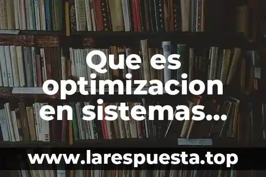 Que es la optimizacion de proceso 8 Que es optimizacion en sistemas naturales y sociales