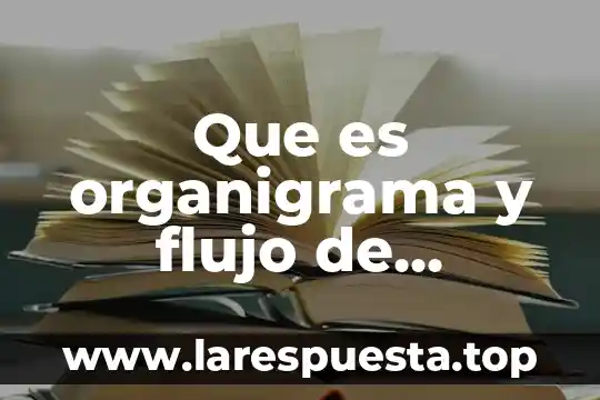 Qué es un organigrama organizacional 3 Que es organigrama y flujo de informacion