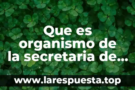 Que es motriz en la educacion fisica 6 Que es organismo de la secretaria de educacion publica