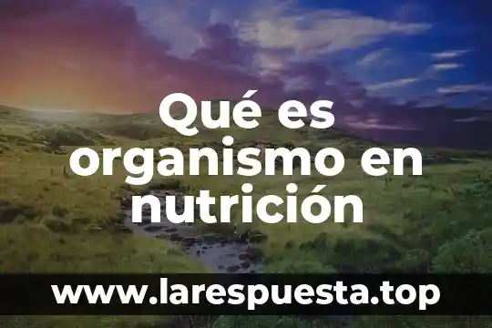 Gráficas acerca de que es contabilidad 5 Qué es organismo en nutrición
