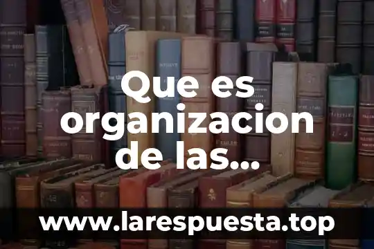 Que es una organizacion inteligente y sus caracteristicas 8 Que es organizacion de las empresas mercansistas