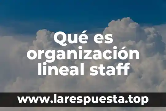 Que es organizacion de las empresas mercansistas 6 Qué es organización lineal staff