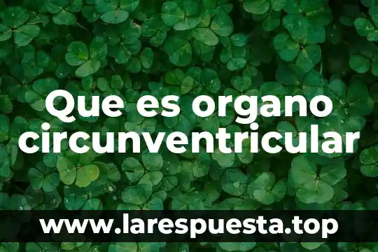 Que es el organo consultivo 3 Que es organo circunventricular