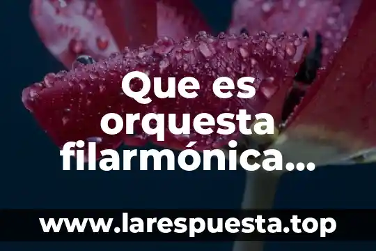 Procesos gastronómicos que es 8 Que es orquesta filarmónica para niños