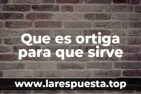 Qué es y para qué sirve la faringe 8 Que es ortiga para que sirve