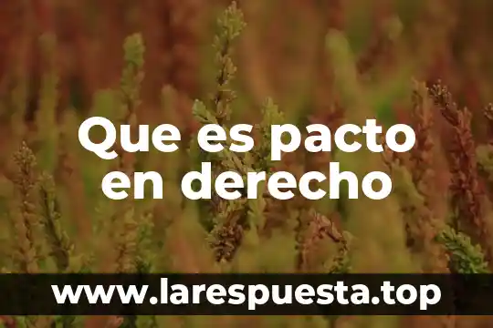 Qué es el seudónimo en derecho 7 Que es pacto en derecho