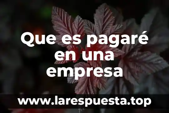 Que es pagaré en una empresa
