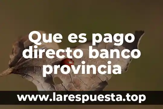 Que es pago directo banco provincia