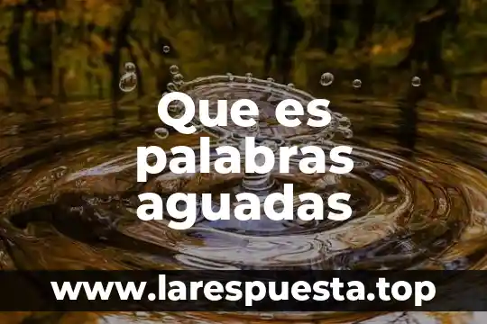 En pocas palabras que es la cultura 3 Que es palabras aguadas