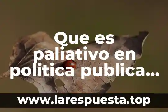 Que es paliativo en politica publica en mexico