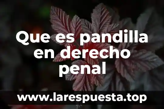 Que es el nombre segun el derecho romano 8 Que es pandilla en derecho penal