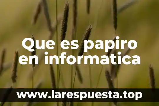 Que es lista de correo en informatica 4 Que es papiro en informatica